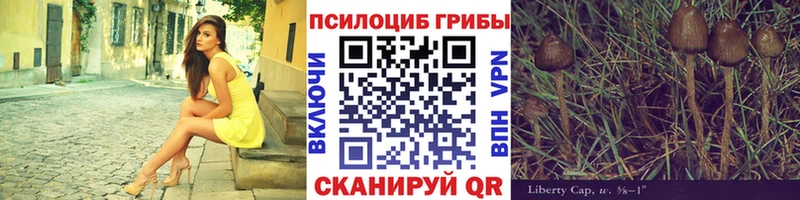 хочу   Урень  Галлюциногенные грибы мицелий 